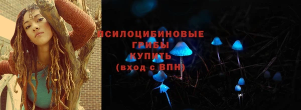 мет Пересвет