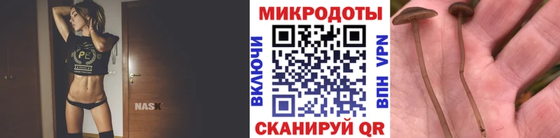 ссылка на мегу маркетплейс  Сычёвка  Галлюциногенные грибы Magic Shrooms 